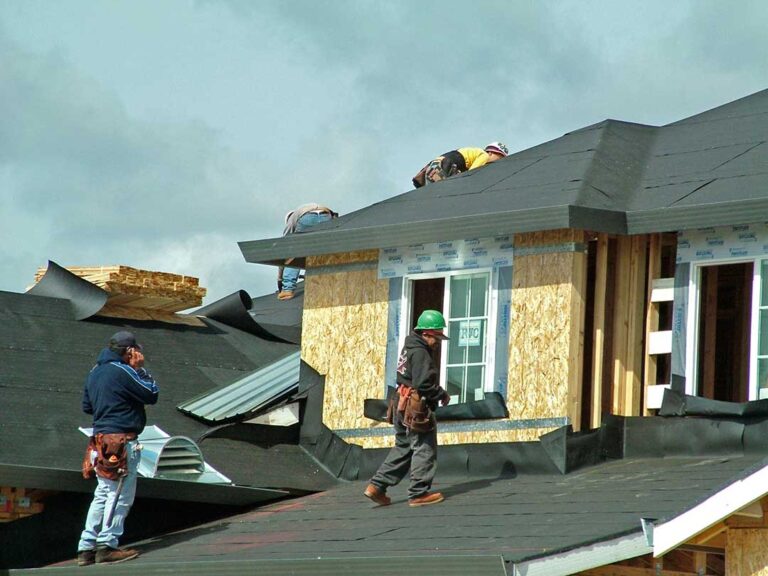 Homeowner examining dark roof streaks and green moss on shingles beside a ladder and gutter.